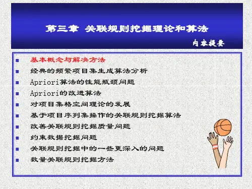 研究生课件【数据挖掘】第三章 关联规则挖掘理论和算法