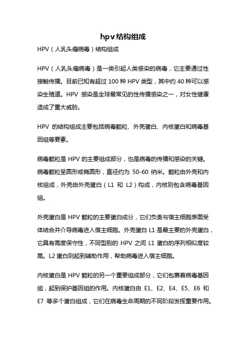 hpv结构组成
