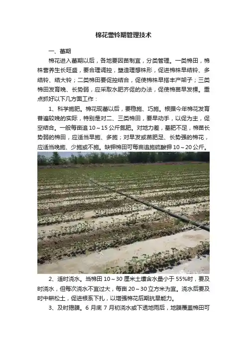 棉花蕾铃期管理技术