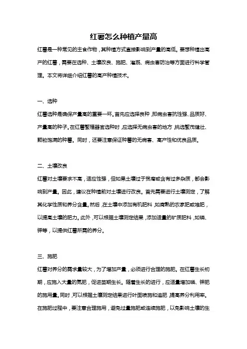红薯怎么种植产量高