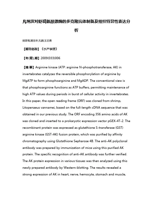 凡纳滨对虾精氨酸激酶的多克隆抗体制备及组织特异性表达分析