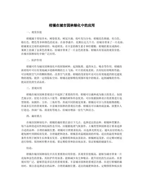 柑橘在城市园林绿化中的应用
