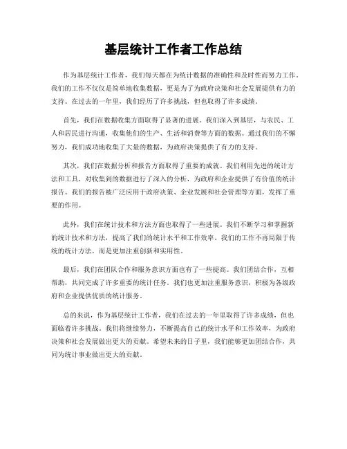 基层统计工作者工作总结