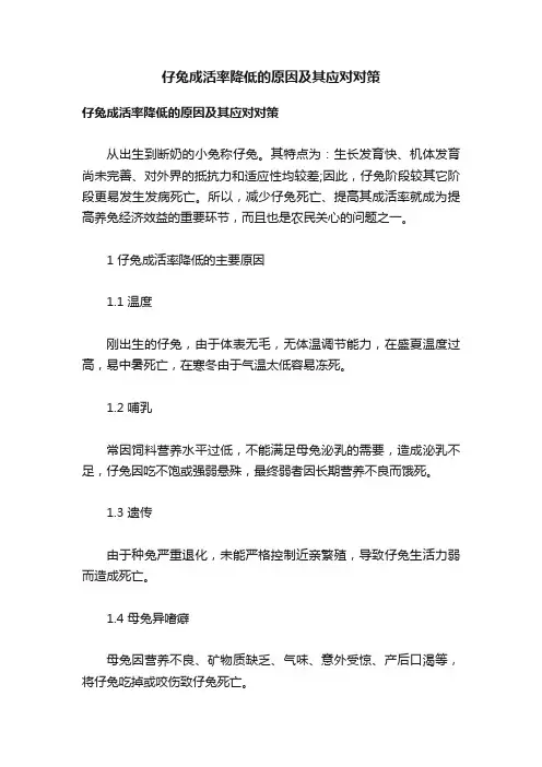 仔兔成活率降低的原因及其应对对策