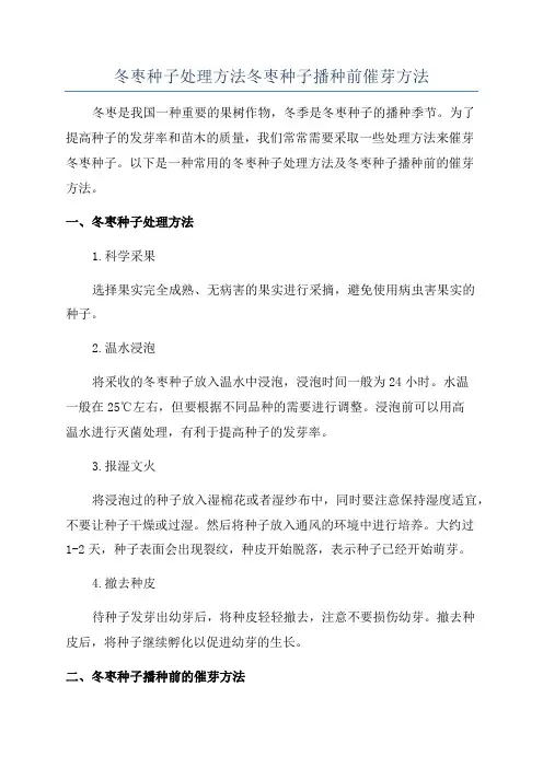 冬枣种子处理方法冬枣种子播种前催芽方法