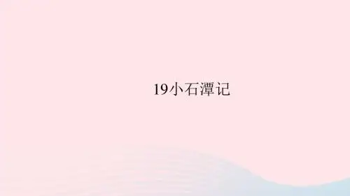八年级语文上册第五单元19小石潭记习题课件语文版