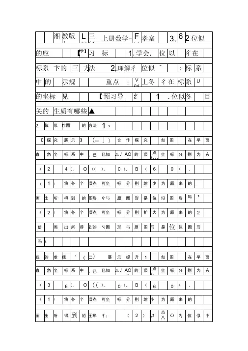 位似2导学案新湘教版