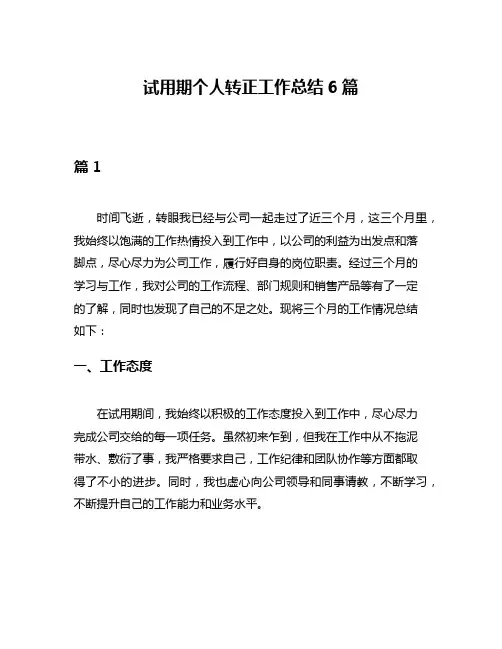 试用期个人转正工作总结6篇
