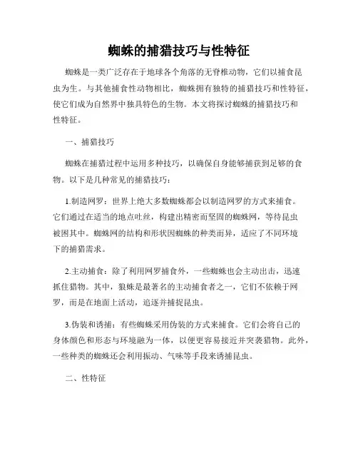 蜘蛛的捕猎技巧与性特征