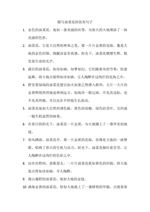 描写油菜花的优美句子