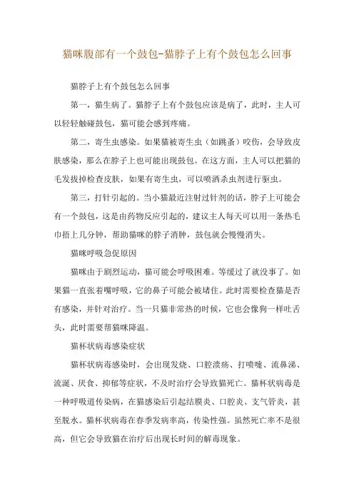 猫咪腹部有一个鼓包-猫脖子上有个鼓包怎么回事