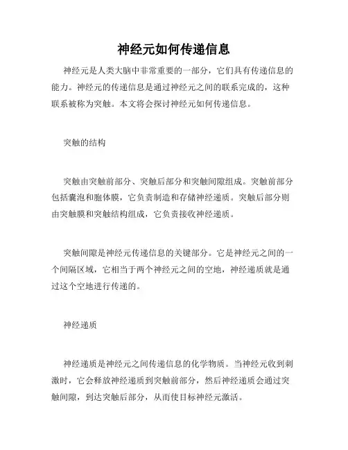 神经元如何传递信息
