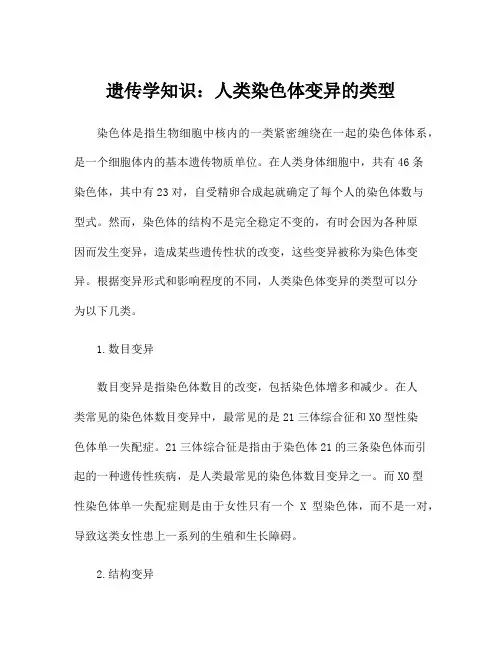 遗传学知识：人类染色体变异的类型
