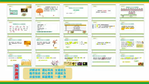 部编版小学语文三年级上册第二单元6.《秋天的雨》课件