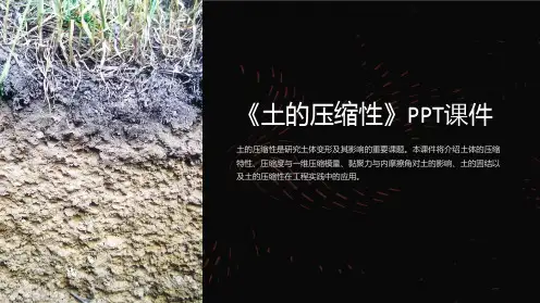 《土的压缩性》课件