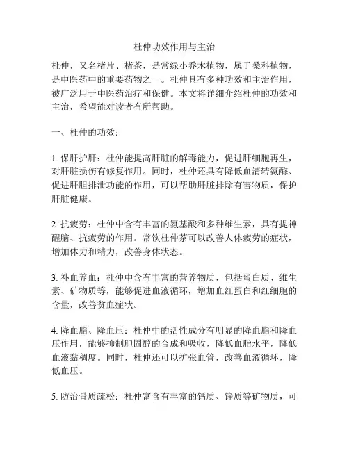 杜仲功效作用与主治