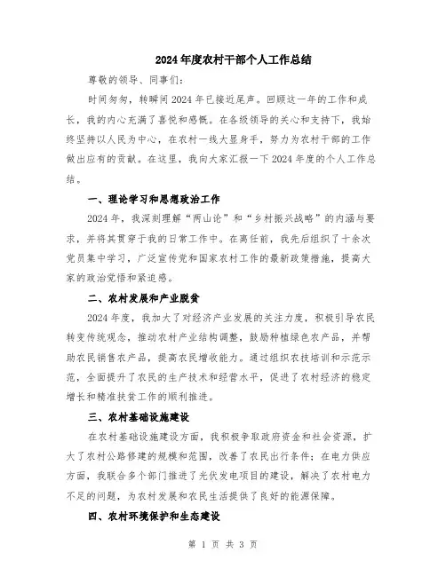 2024年度农村干部个人工作总结