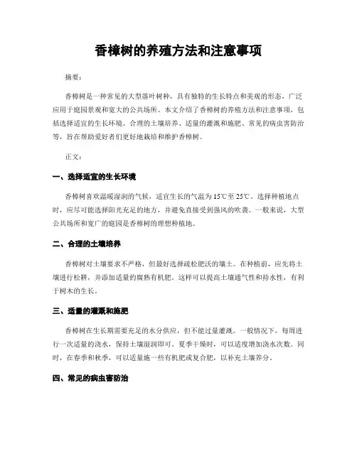 香樟树的养殖方法和注意事项