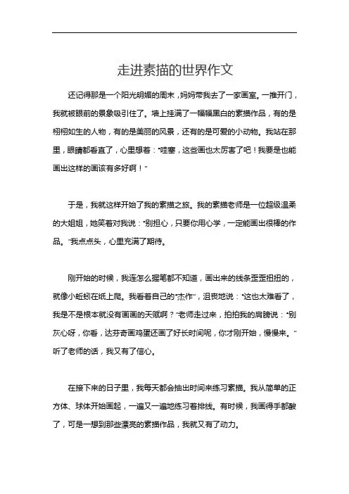 走进素描的世界作文