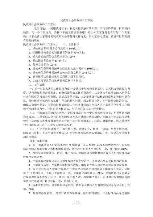 民政局社会事务科工作计划