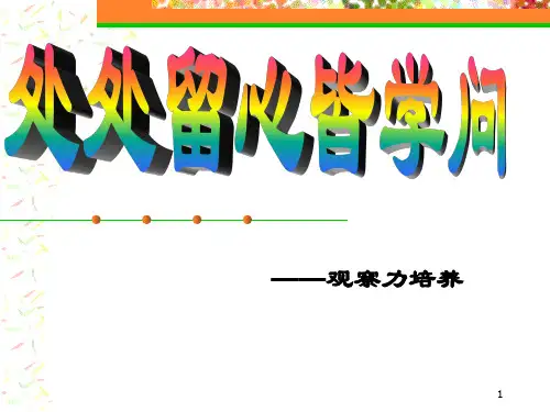 观察力训练38页PPT课件