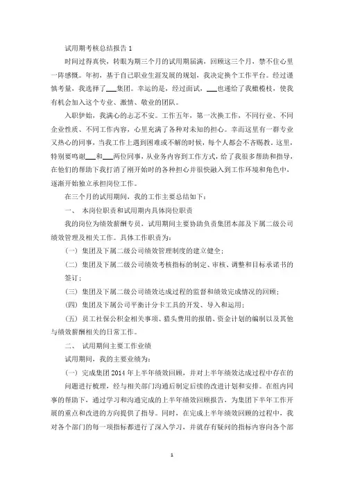 试用期考核总结报告(最新)