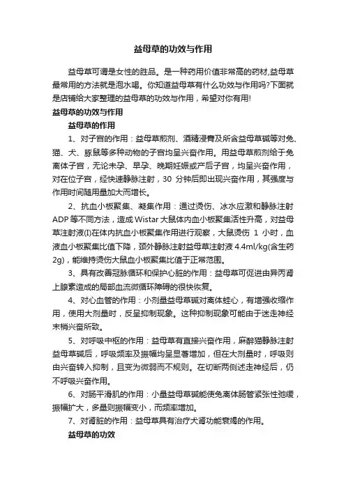 益母草的功效与作用