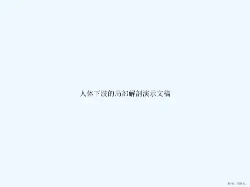 人体下肢的局部解剖演示文稿