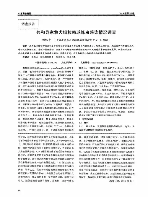 共和县家牧犬细粒棘球绦虫感染情况调查