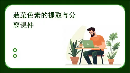 菠菜色素的提取与分离课件