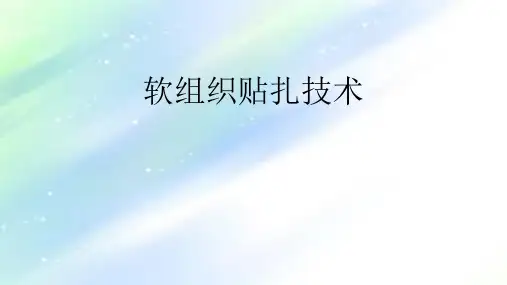 软组织贴扎技术