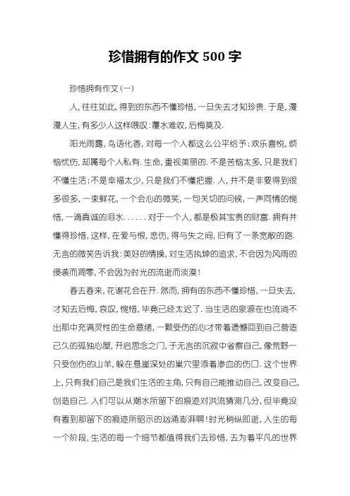珍惜拥有的作文500字