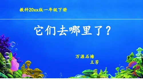 教科版一年级下册科学6.它们去哪里了说课课件