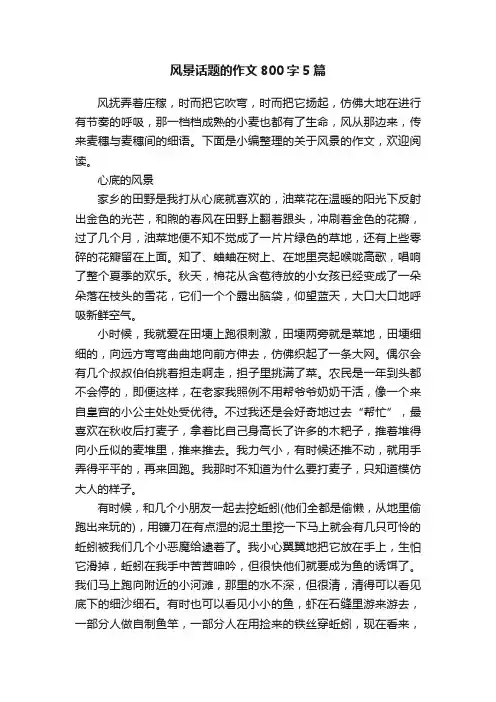 风景话题的作文800字5篇