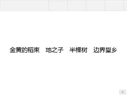 人教新课标版语文高二《中国诗歌散文欣赏》课件 金黄的稻束 地之子 半棵树 边界望乡