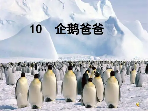 《企鹅爸爸》3 精选优质课件