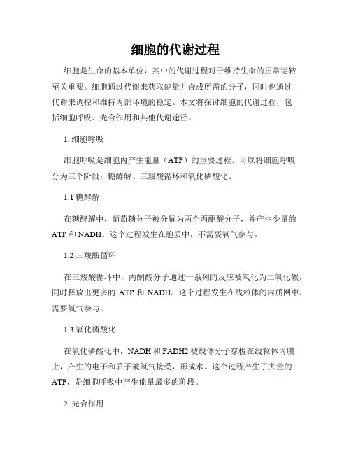 细胞的代谢过程