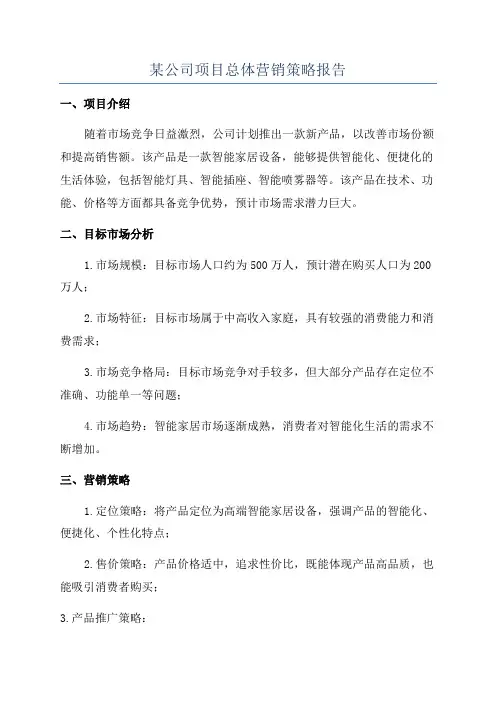 某公司项目总体营销策略报告