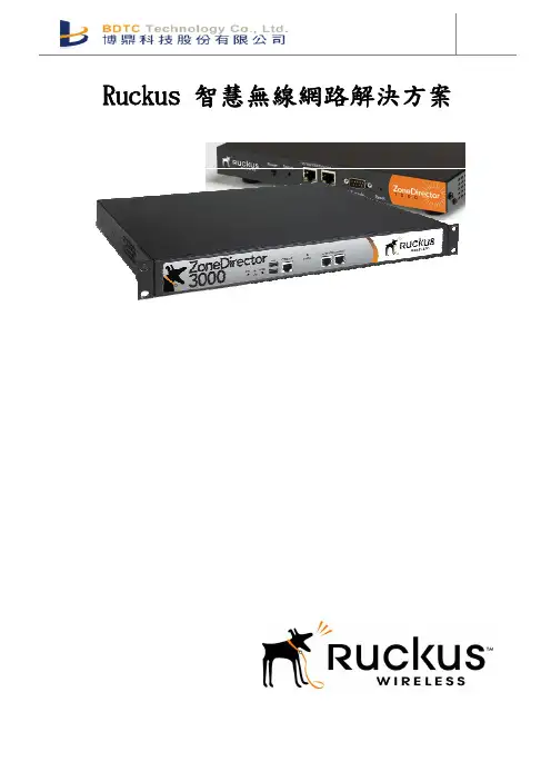 Ruckus 智慧无线网路解决方案