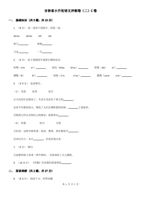 吉林省小升初语文冲刺卷(二)C卷