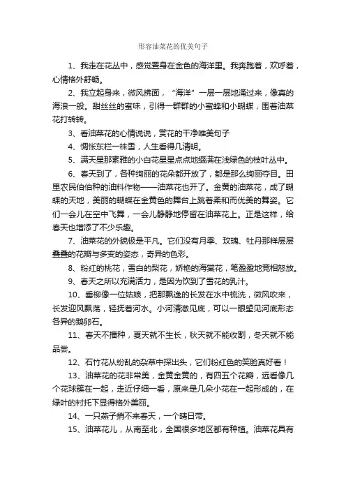 形容油菜花的优美句子