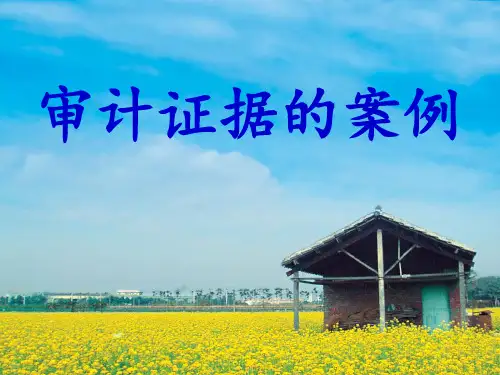 审计证据的案例