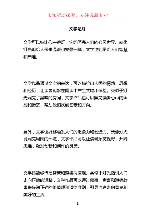 文学是灯 (2)