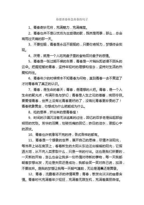 珍惜青春怀念青春的句子