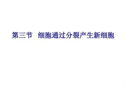 七年级生物细胞通过分裂产生新细胞