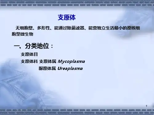支原体衣原体立克次体螺旋体PPT课件