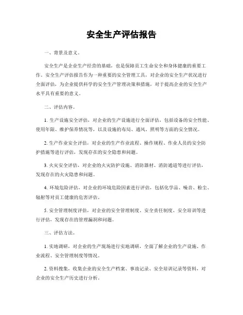 安全生产评估报告