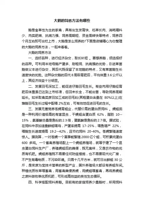 大鹅的饲养方法有哪些