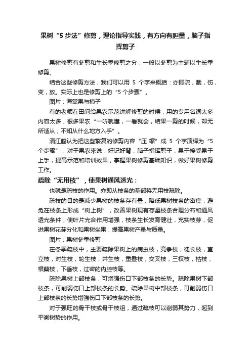 果树“5步法”修剪，理论指导实践，有方向有胆量，脑子指挥剪子