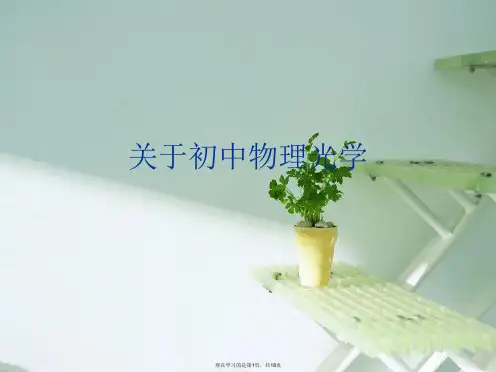初中物理光学课件